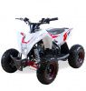 Motax GEKKON 90cc Бензиновый Красный