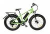 Электровелосипед Elbike Phantom Elite Зеленый